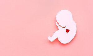 FertiClub Germany: Netzwerk Embryonenspende Deutschland e.V. – was gibt es Neues?